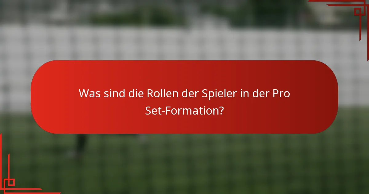 Was sind die Rollen der Spieler in der Pro Set-Formation?