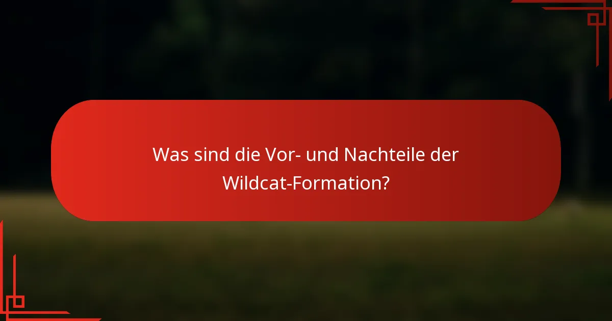 Was sind die Vor- und Nachteile der Wildcat-Formation?