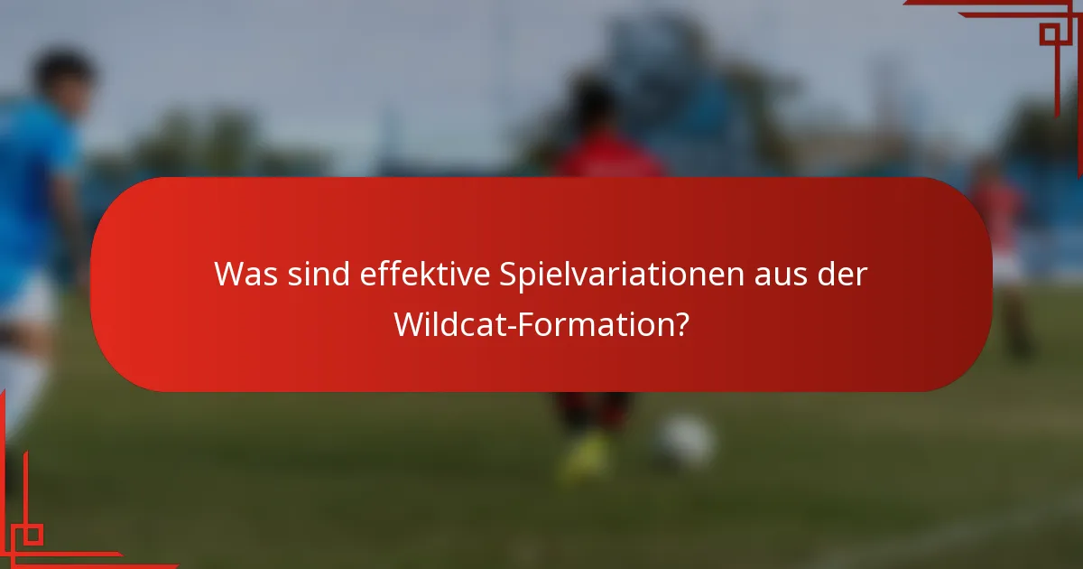Was sind effektive Spielvariationen aus der Wildcat-Formation?