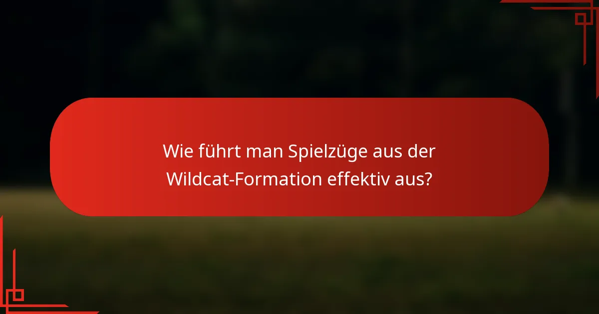 Wie führt man Spielzüge aus der Wildcat-Formation effektiv aus?