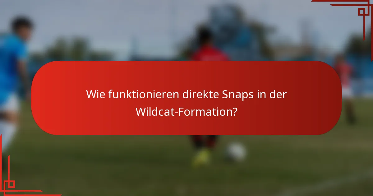 Wie funktionieren direkte Snaps in der Wildcat-Formation?